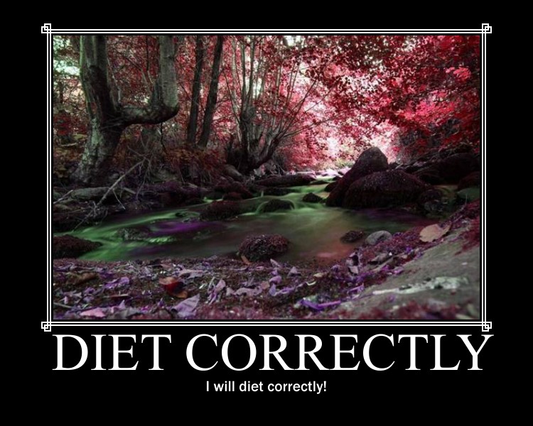 diet correctly